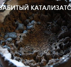 забиты кат