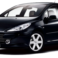 PEUGEOT 307 1,6